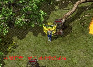 ˽�����棺��ɱ��·�����ؼ�