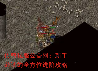 ����˽�������������ֱض���ȫ��λ���׹���