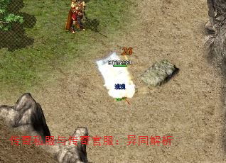 ����˽���봫��ٷ�����ͬ����