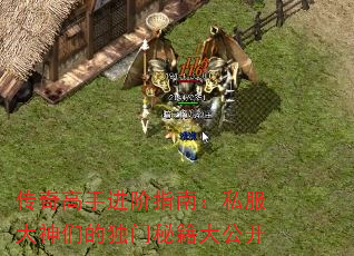 ������ֽ���ָ�ϣ�˽�������ǵĶ����ؼ��󹫿�