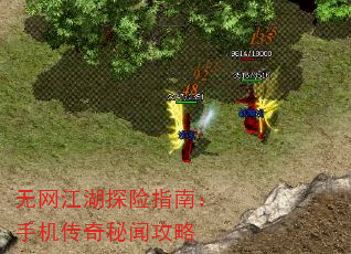 ��������̽��ָ�ϣ��ֻ��������Ź���