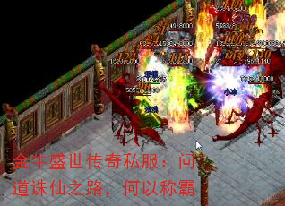 ��ţʢ������˽�����ʵ�����֮·�����Գư�