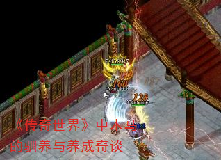 ���������硷��ľ����ѱ����������̸