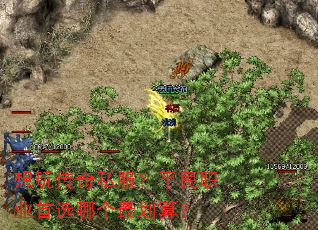 ���洫��˽����ƽ��ְҵ��ѡ�ĸ���㣿