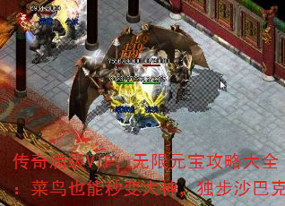 ��������VIP������Ԫ�����Դ�ȫ������Ҳ�������񣬶���ɳ�Ϳ�