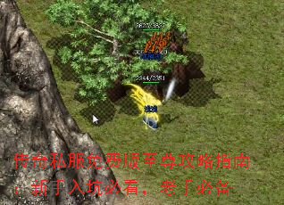 ����˽����Ѱ�������ָ�ϣ�������ӱؿ������ֱر�