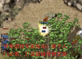 ������Ϸר��ָ�ϣ��������űؿ��������۷崫��֮·