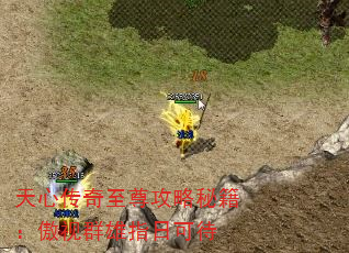 ���Ĵ����������ؼ�������Ⱥ��ָ�տɴ�