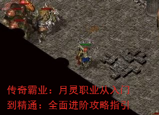 �����ҵ������ְҵ�����ŵ���ͨ��ȫ����׹���ָ��