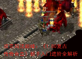 �����귨�۷壺��1.80���Ŵ���ϻ����������Ž���ȫ����