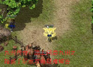 ���ݴ��棺̤���ʶ�����֮·������ҹ������ѽ��