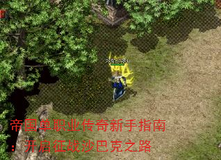 �۹���ְҵ��������ָ�ϣ�������սɳ�Ϳ�֮·