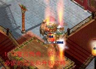 1.76���Ŵ��棺���ֱض����𲽺���������