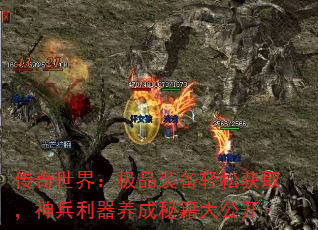 �������磺��Ʒװ�����ɻ�ȡ��������������ؼ��󹫿�