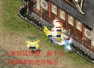 �Ϻ�����棺�������ŵ������Ľ���ָ��