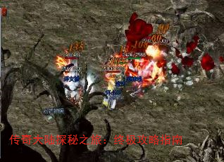 �����½̽��֮�ã��ռ�����ָ��