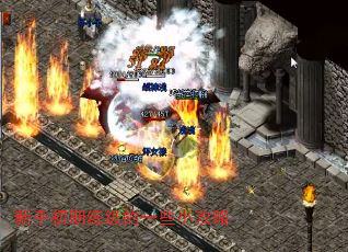 ���ֳ���������һЩС����