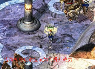 ����������Ӧ���������ս��