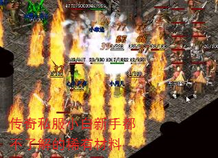 ����˽��С�����ֶ����˽��ϡ�в���