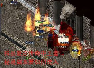 ��Ʒ���Ŵ����������ؾ�����Ҫ��ν���