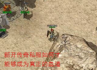 �¿�����˽����β��ܹ���Ϊ������Ѫ��