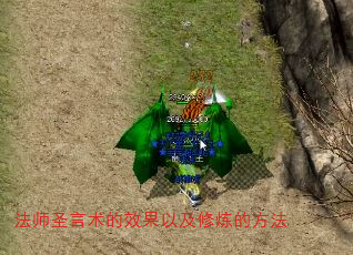 ��ʦʥ������Ч���Լ������ķ���