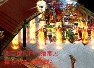 ��̬�����Ұ�����������װ������Щ