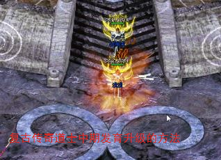 ���Ŵ����ʿ���ڷ��������ķ���