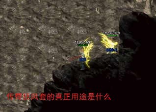 �������׵�������;��ʲô