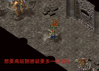 ��Ҫ�߼�����Ҫ��һЩ��ë