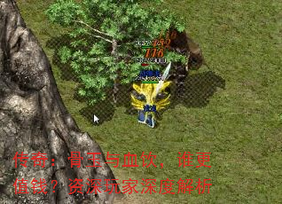 ���棺������Ѫ����˭��ֵǮ�����������Ƚ���