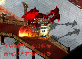 ѧ����ҩ�ĵ�ְҵ������һ��кܶ�ô�