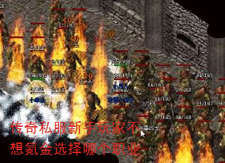 ����˽��������Ҳ���봽�ѡ���ĸ�ְҵ