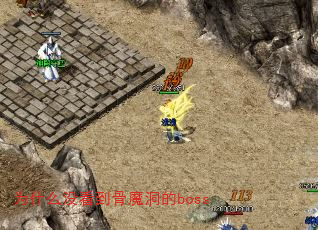 Ϊʲôû������ħ����boss