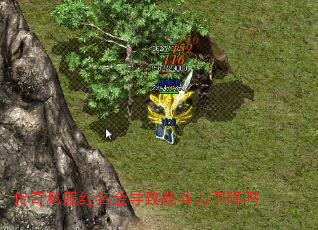 ����˽�������ᵼ��ս�����½���