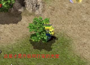 ������������ʹ򱦵�����