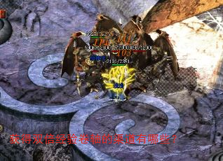 ���˫������������������Щ��