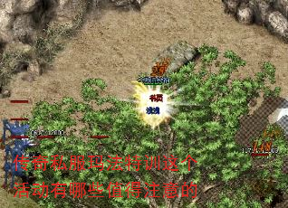 ����˽���귨��ѵ��������Щֵ��ע���