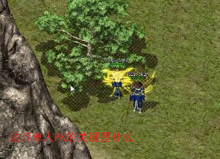 ��ʦ����PK�Ĺؼ���ʲô