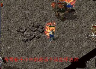 ��������С�׵��׸ò���ѡ��ʦ