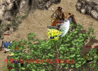 ���沢��ֻ�е�ʿ�����Զ���Ѫ