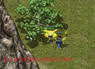 ������ɶԴ���sfʤ��Ϊ������