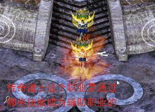 �����ʿ���ְҵ��ͨ����Щ���ܳ�Ϊ����ְҵ��