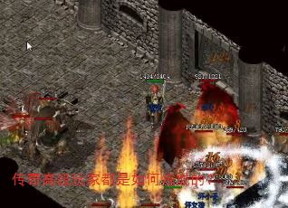 ����߼���Ҷ���������ɵģ�