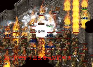 ���Ŵ���������Ҫ����ҵİ���