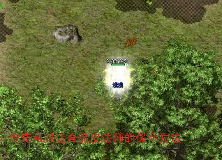 ����˽���ʺϴ�Ƥ��ʦ�ı�������