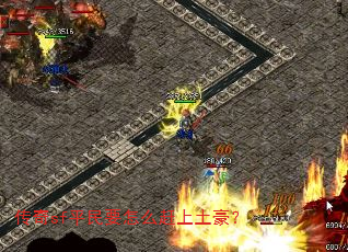 ����sfƽ��Ҫ��ô����������