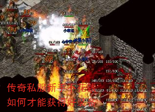 ����˽�����ֲ���Ǯ��β��ܻ�ú�װ��