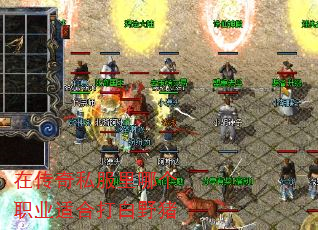 �ڴ���˽�����ĸ�ְҵ�ʺϴ��Ұ��