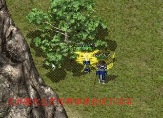 ��ʦҪ��ô�ڴ�����ץ����������